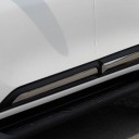 SIDE BODY MOULDING WITH CHROME